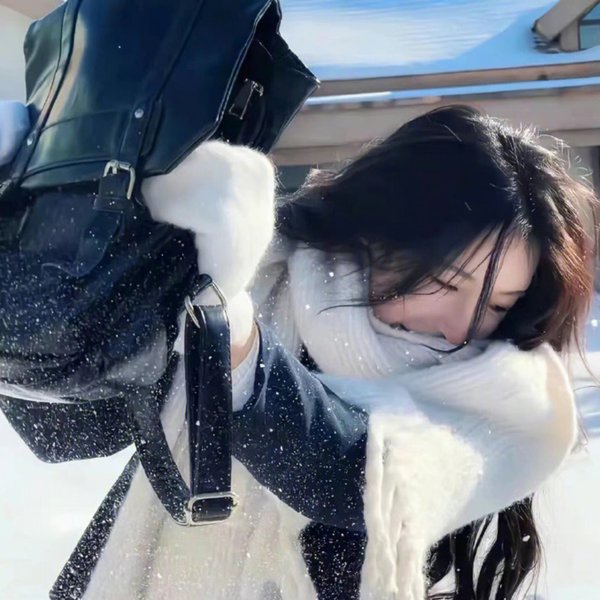绝代双骄